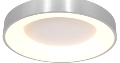 Foto Steinhauer Plafondlamp Ringlede 48 cm 2563 zilver