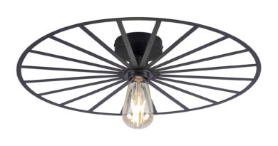 Foto Paul Neuhaus Plafondlamp Isabella 50 cm zwart