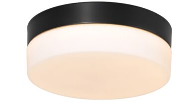 Foto Steinhauer Plafondlamp Ikaro 24 cm IP44 zwart