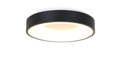 Foto Steinhauer Plafondlamp Ringlede 30 cm 3086 zwart