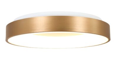 Foto Steinhauer Plafondlamp Ringlede 48 cm 2563 goud