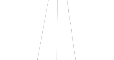 Foto Steinhauer Hanglamp Ringlede 48 cm 2695 zwart