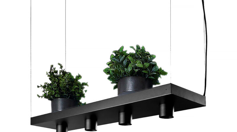 Foto Nowodvorski Hanglamp Plant 4 lichts L 80 cm B 24 cm zwart