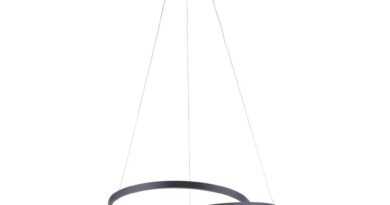 Foto Paul Neuhaus Hanglamp Rowan 55 cm zwart